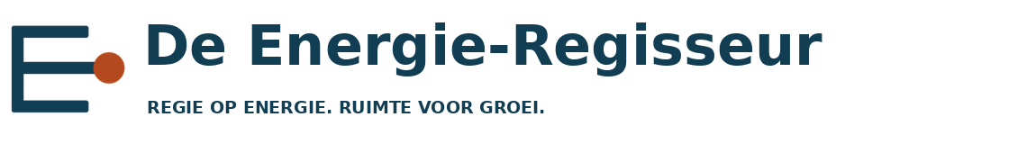 De Energie-Regisseur — Energie, strategie en uitvoering
